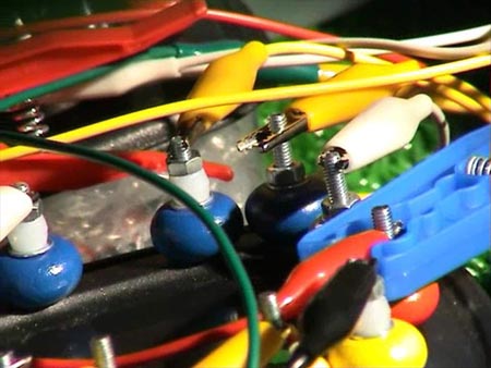 picnic at sonus_0005